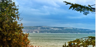 As Time Goes By: First Live Tournament