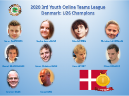 3rd WBF Youth Teams Online Championships: Denmark U26 Champion