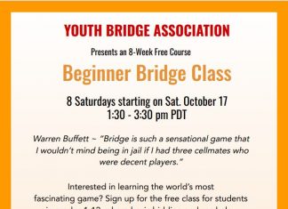 Youth Bridge Association: Free Beginner Bridge Course