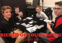 Australia: FRIENDS OF YOUTH BRIDGE by David Stern