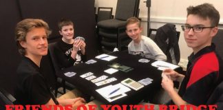 Australia: FRIENDS OF YOUTH BRIDGE by David Stern