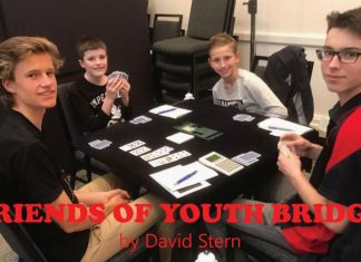 Australia: FRIENDS OF YOUTH BRIDGE by David Stern