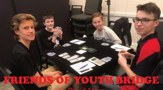 Australia: FRIENDS OF YOUTH BRIDGE by David Stern