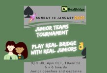Junior Team Tournament: Real Bridge