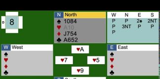 Dangerous Opponent by Gavin Wolpert