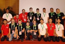 The Idea and the Reality by Ted Horning (CAN)