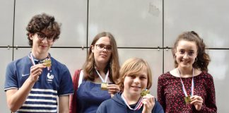 Perhaps you can see something better by David L Bird (ENG)