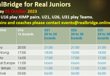 RealBridge – Two youth events coming up