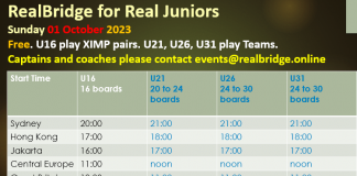 RealBridge – Two youth events coming up