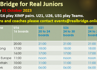 RealBridge – Two youth events coming up