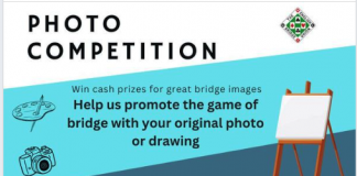 EBU: Bridge photo or drawing competition