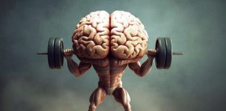 Green baize gladiators: Bridge as a mindsport for all