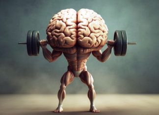 Green baize gladiators: Bridge as a mindsport for all