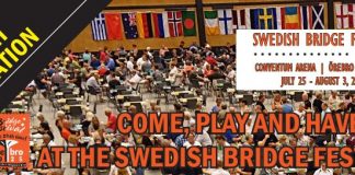 Youth Invitation – 2025 Swedeen Bridge Festival