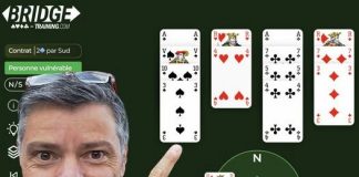 Are you a bridge teacher?