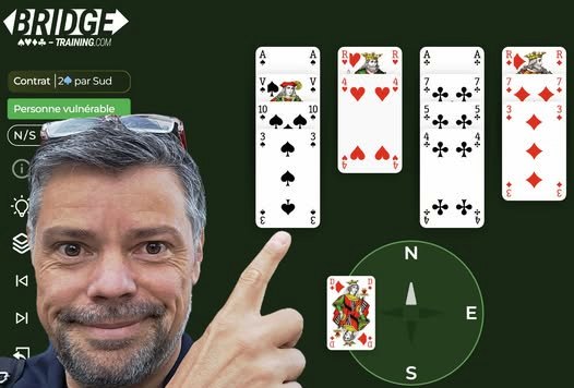 Are you a bridge teacher?