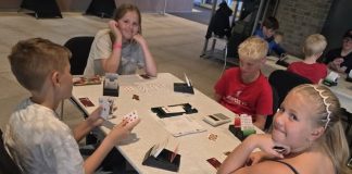 Bridge as an elective subject in primary school?