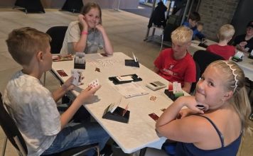 Bridge as an elective subject in primary school?